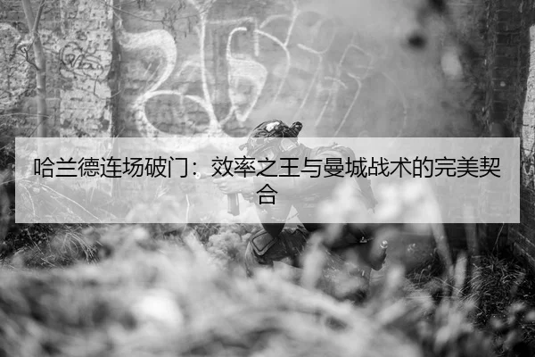 ha-lan-de-lian-chang-po-men-xiao-lv-zhi-wang-yu-man-cheng-zhan-shu-de-wan-mei-qi-he-3-996.jpg