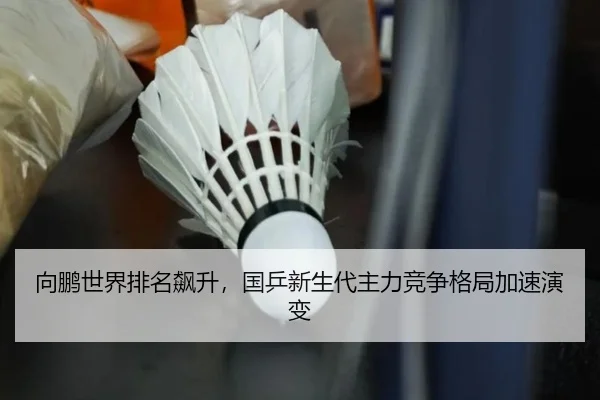 向鹏世界排名飙升，国乒新生代主力竞争格局加速演变
