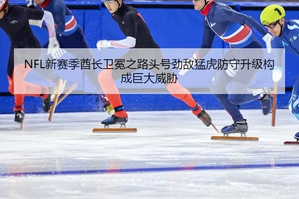 xin-sai-ji-qiu-zhang-wei-mian-zhi-lu-tou-hao-jing-di-meng-hu-fang-shou-sheng-ji-gou-cheng-ju-da-wei-xie-2-336.jpg